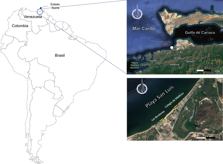 Ubicación de las localidades de estudio Colegio de Médicos Sector A y Los Bordones Sector B en la playa urbana San Luis Cumanáestado Sucre Venezuela