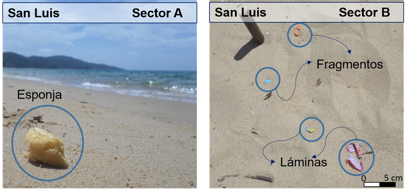 Evidencia de presencia de plásticos en los sedimentos superficiales de las dos localidades de la Playa San Luis Cumaná estado Sucre Venezuela