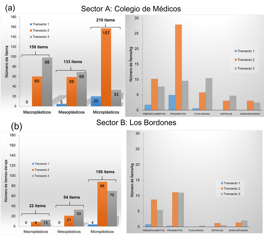 Distribución de macroplásticos mesoplásticos y microplásticos en función de los transectos y contenido de las formas de las partículas plásticas en número de ítemskg reportados en las muestras a Sector A Colegio de Ingenieros b Sector B Los Bordones