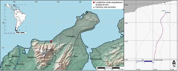 Área de estudio Troncal del Caribe Ruta 90 – Cabecera del municipio de Dibulla Dibulla La Guajira Colombia