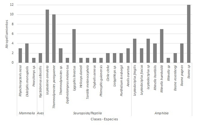 Registros de atropellamientos de fauna silvestre vertebrada, tramo de carretera municipal (Casa Aluminio – Dibulla), Dibulla, La Guajira, Colombia.