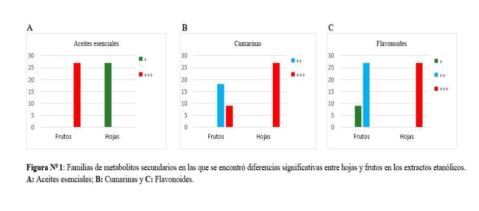 Familias de metabolitos secundarios en las que se encontró diferencias significativas entre hojas y frutos en los extractos etanólicos.
