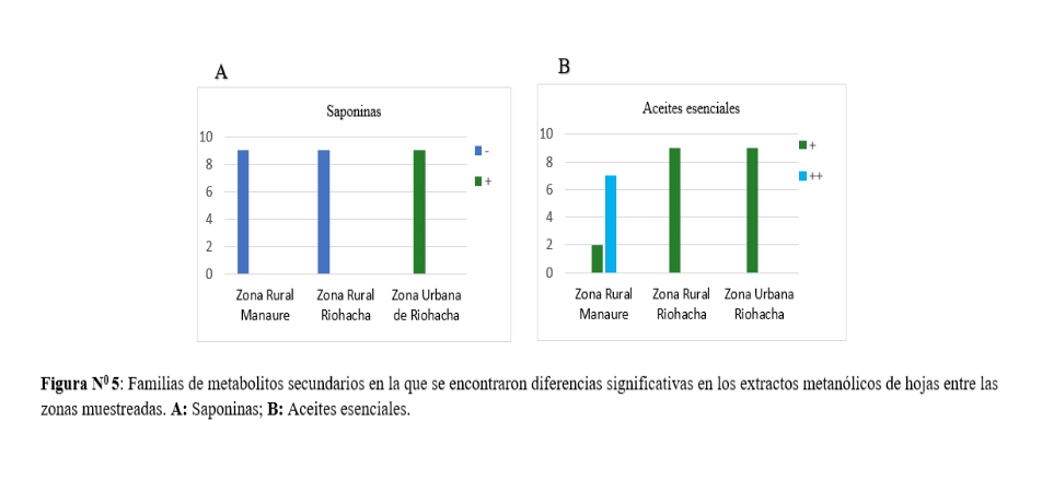 Familias de metabolitos secundarios en la que se encontraron diferencias significativas en los extractos metanólicos de hojas entre las zonas muestreadas.