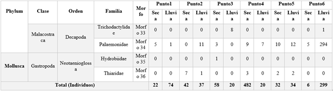 Clasificación taxonómica y abundancia de los macroinvertebrados acuáticos registrados en el río Toribio en cada época de estudio