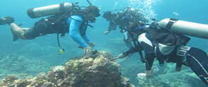 Monitoreo de Arrecifes Coralinos en el ecosistema costero del Cabo de la Vela en la Pen&iacute;nsula de La Guajira